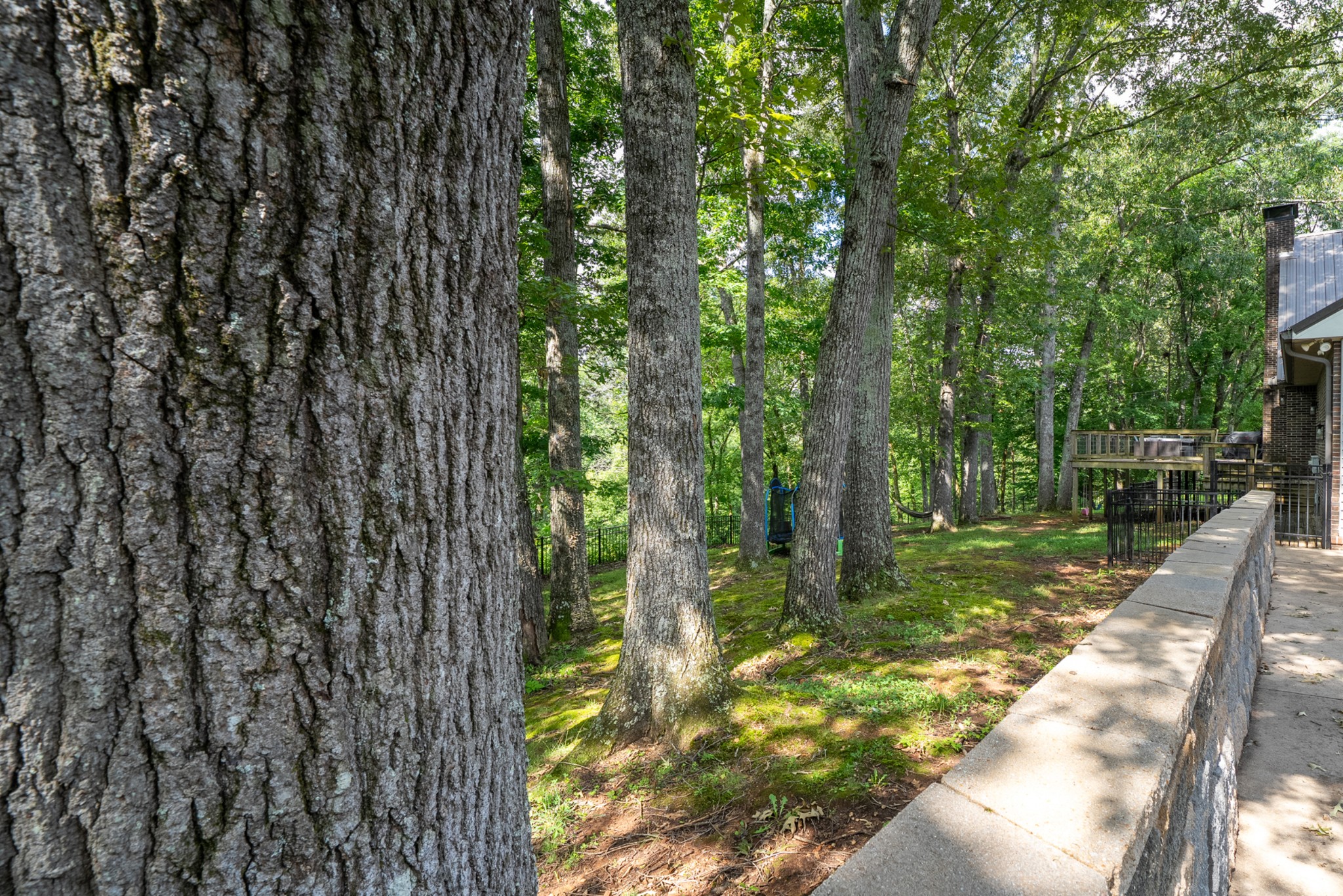 270 Wood Bluff Road Winchester, TN 37398 - Photo 13 of 69