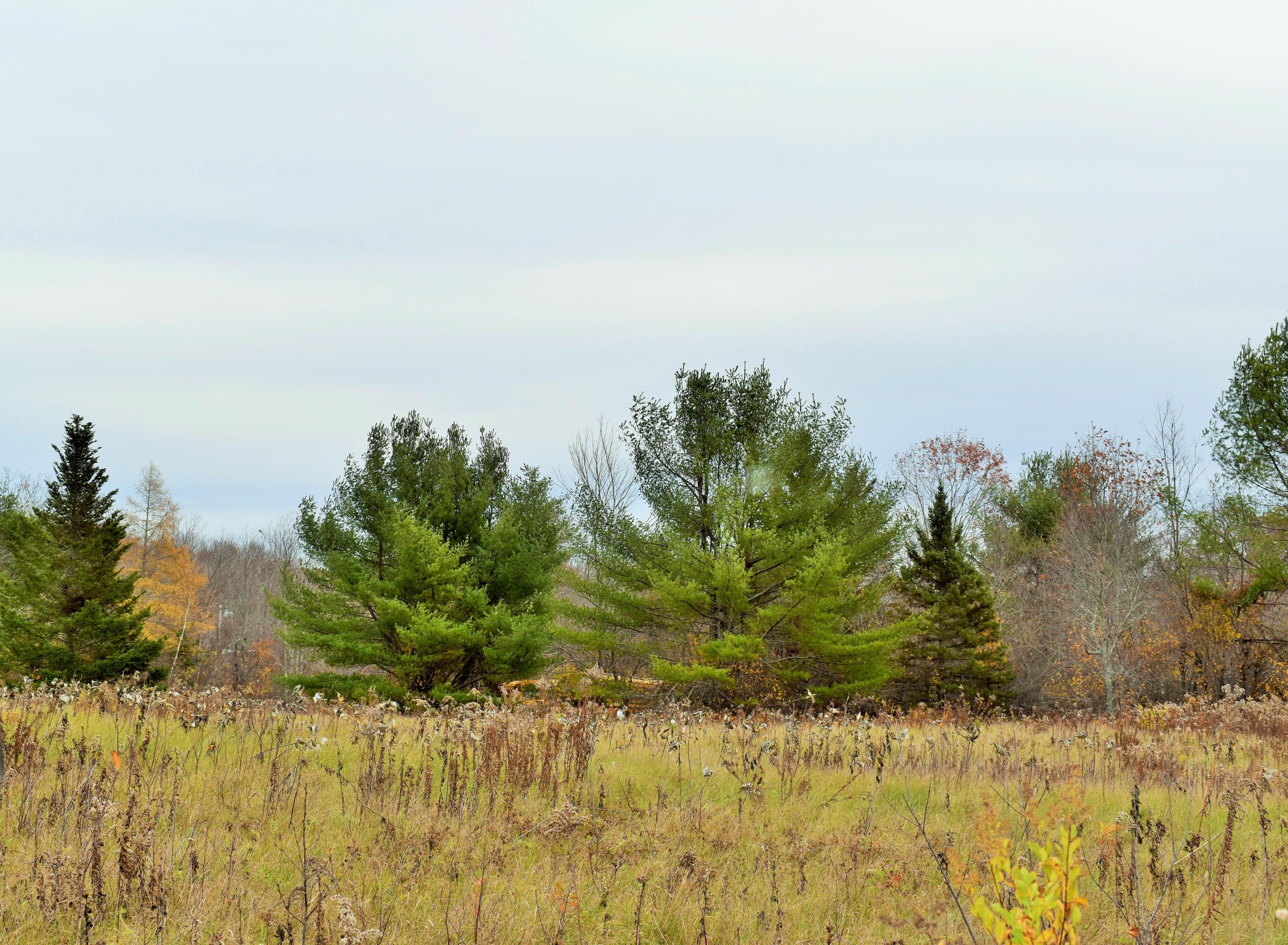 44 Exeter Road Stetson, ME 04488 - Photo 13 of 18 12