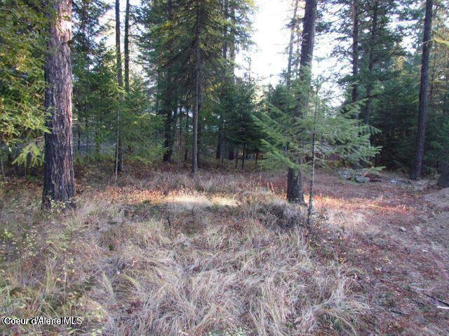 39 Forest Ridge Road Blanchard, ID 83804 - Photo 2 of 10 Forest Ridge Rd 3