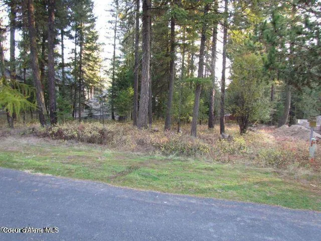 $129,900 | 39 Forest Ridge Road, Blanchard, ID 83804
