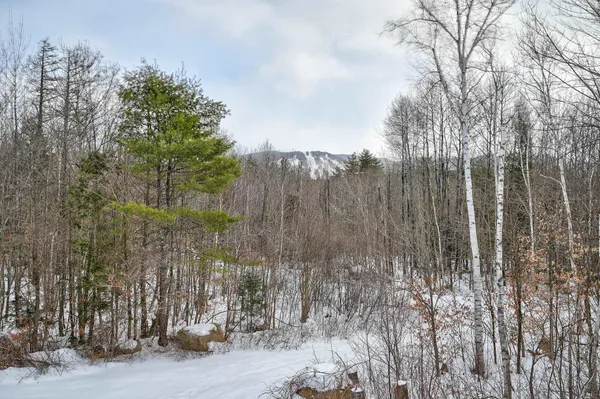 $370,000 | 136 Northbrook Circle, Unit 96, North Conway, NH 03860