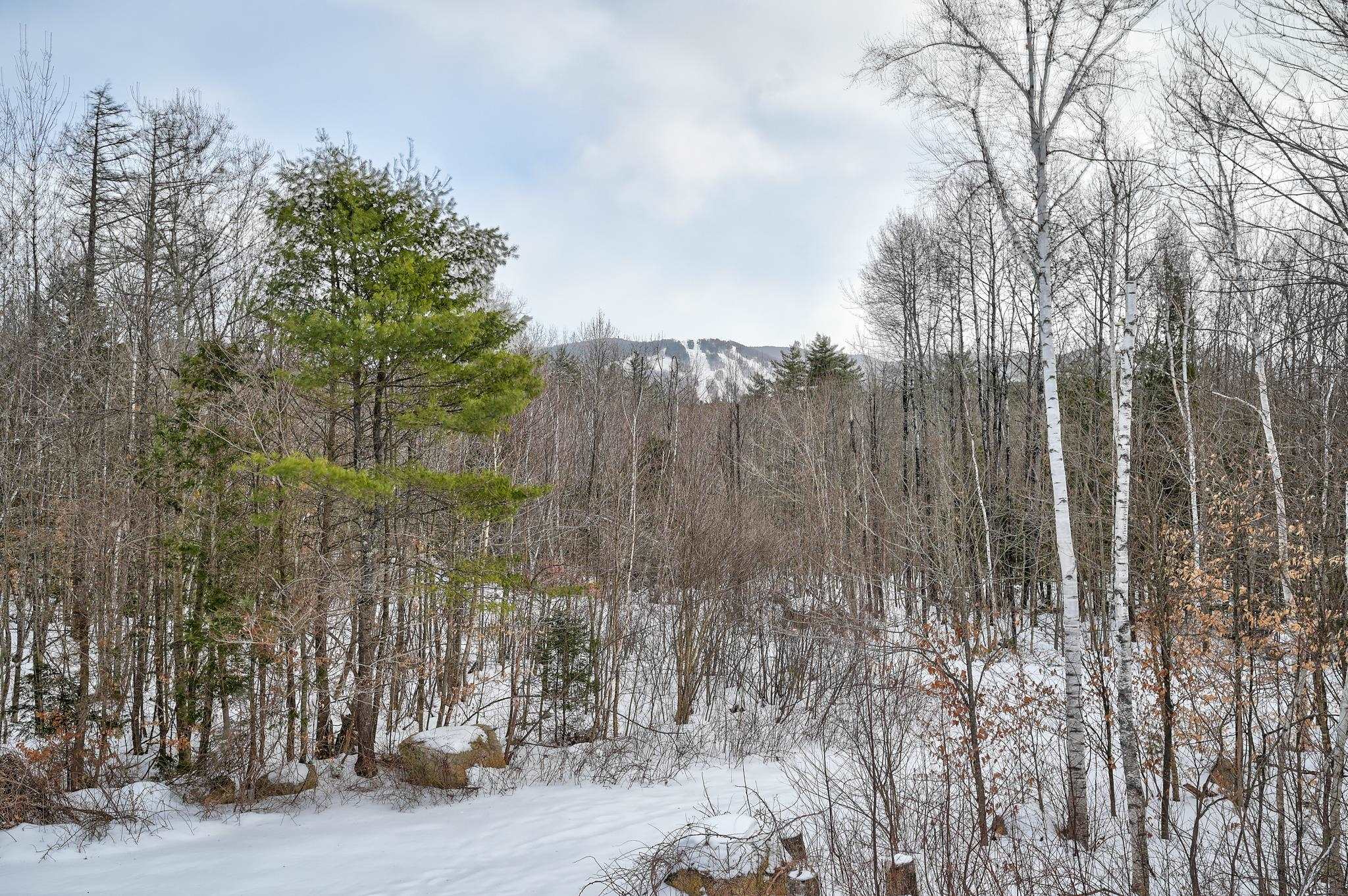 136 Northbrook Circle, Unit 96 North Conway, NH 03860 - Photo 37 of 39