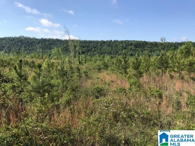 1 Shoal Creek Road, Unit 1 Ashville, AL 35953 - Photo 1 of 7