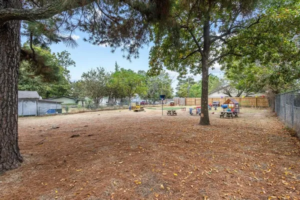 a view of road with large trees