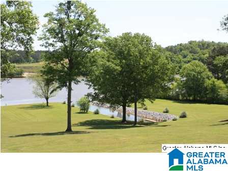 872 Lock 4 Road Riverside, AL 35135 - Photo 2 of 8