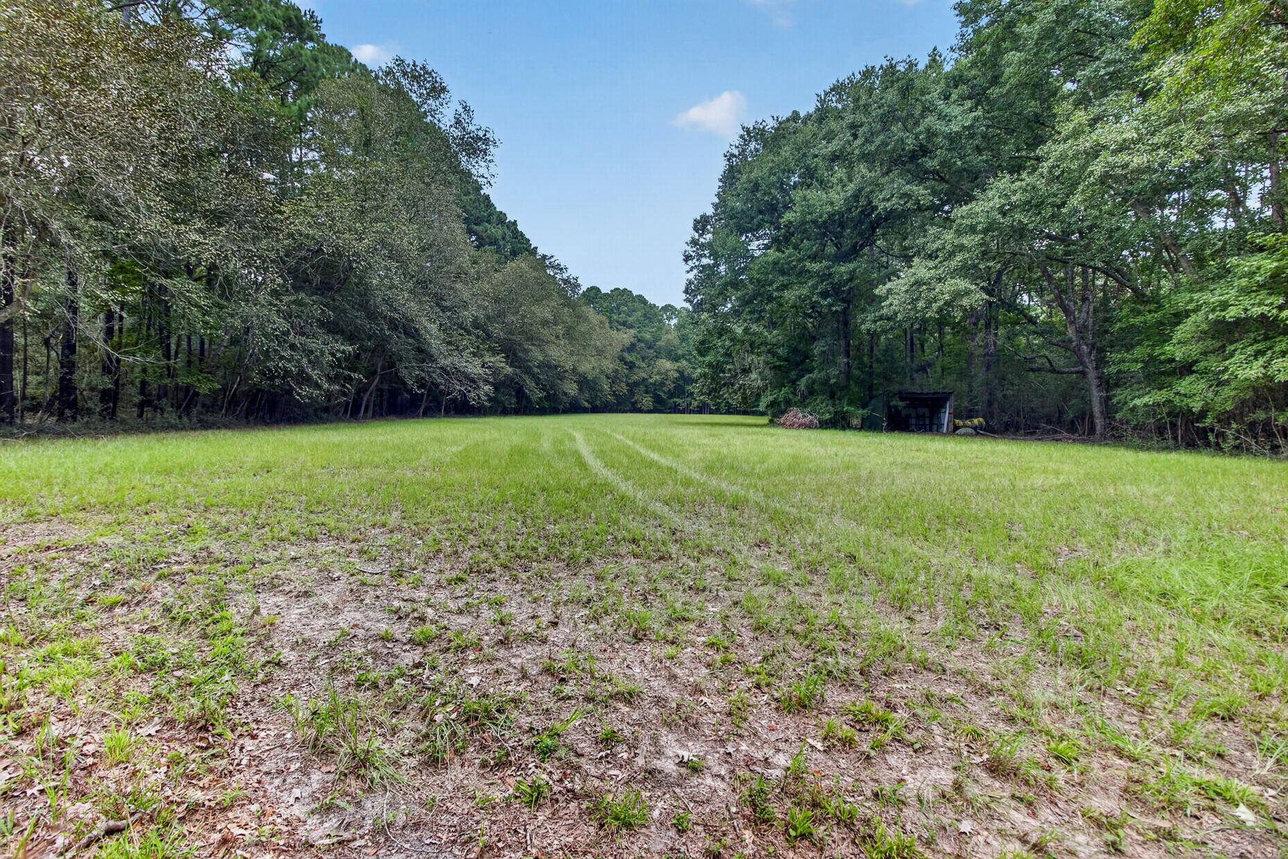 5751 Church Flats Road Meggett, SC 29449 - Photo 24 of 32 53_53_mls