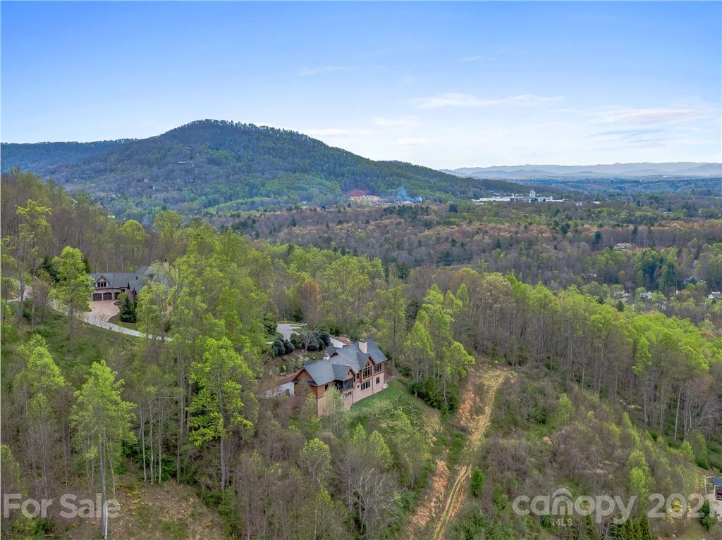 52 Ridge Pine Trail Arden, NC 28704 - Photo 4 of 48 Gallery Image 4
