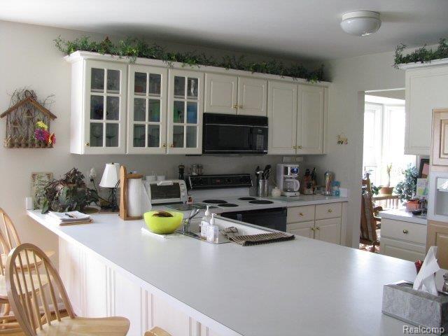 69736 Henry Ross Drive Romeo, MI 48065 - Photo 12 of 25 Henry Ross #12 Kitchen 2