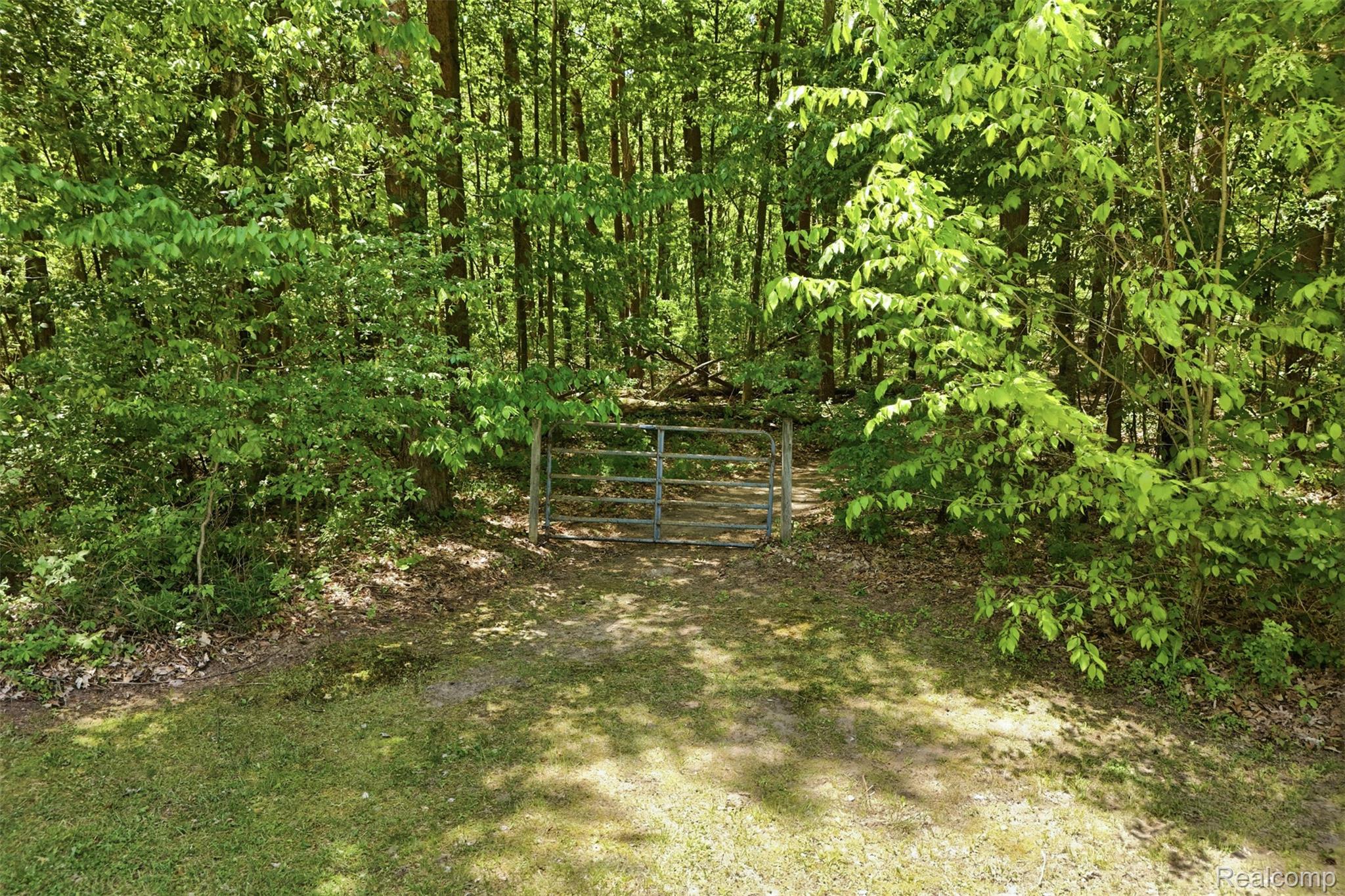 3167 Roods Lake Road Lapeer, MI 48446 - Photo 38 of 38 Trial head to your own private path through the woods.