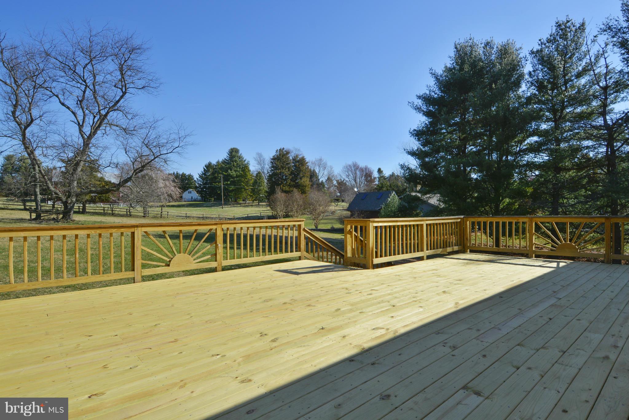 14005 Lewisdale Road Clarksburg, MD 20871 - Photo 26 of 30 Exterior (Rear)