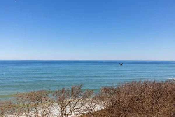 a view of an ocean beach