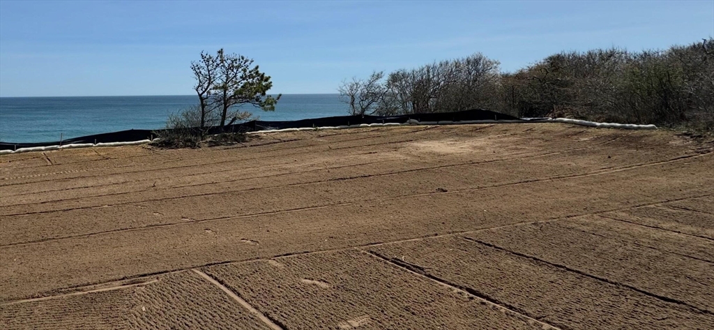 245 Nauset Light Beach Road Eastham, MA 02642 - Photo 6 of 8 a view of a backyard of the house