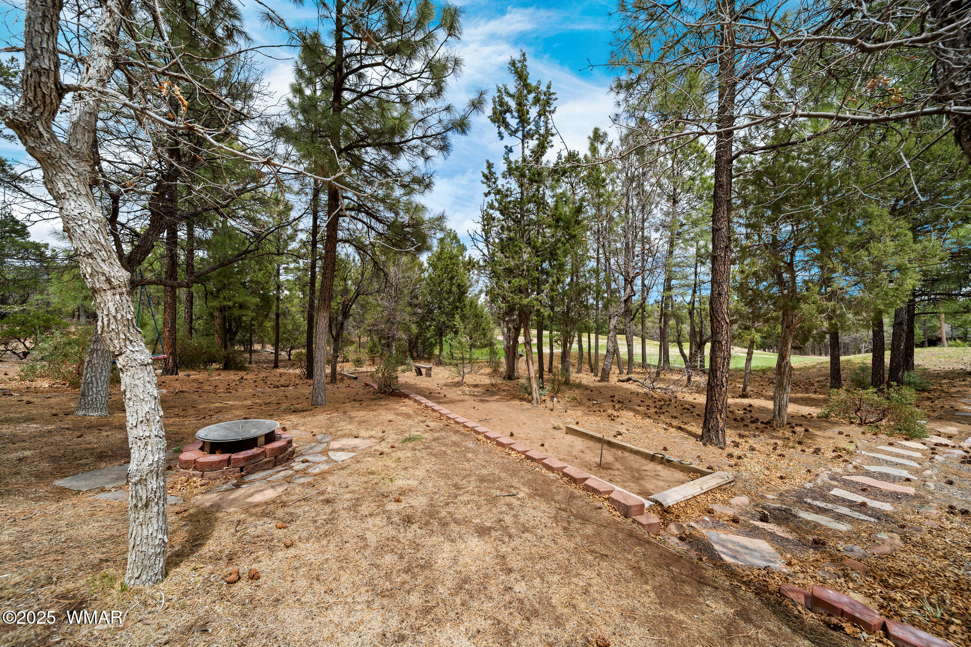 1621 Gambel Oak Road Show Low, AZ 85901 - Photo 32 of 50 Horseshoes