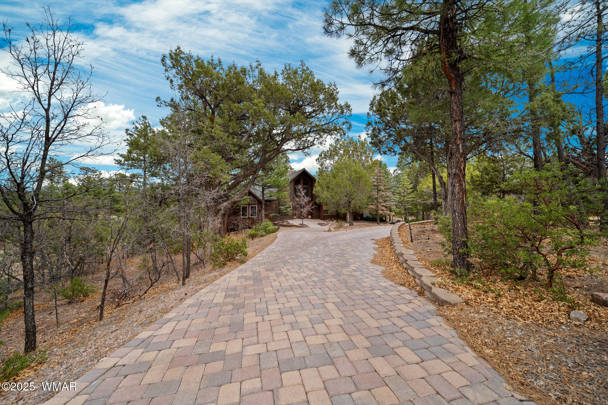 1621 Gambel Oak Road Show Low, AZ 85901 - Photo 47 of 50 Ponderosa Pines