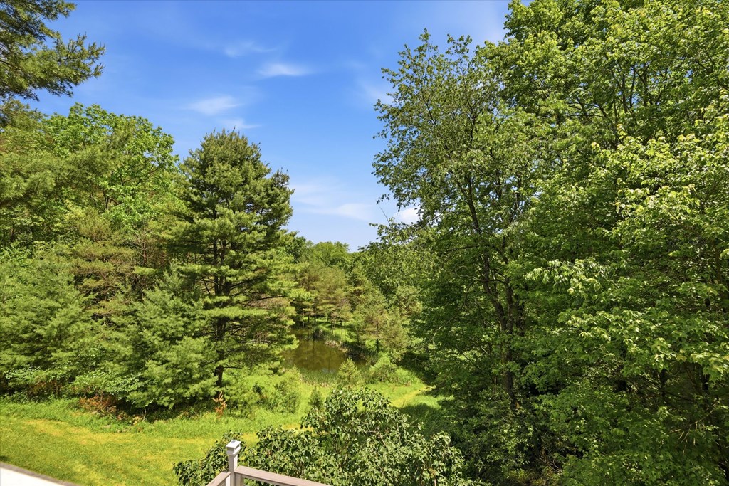 4385 Cemetery Road Tionesta, PA 16353 - Photo 29 of 53