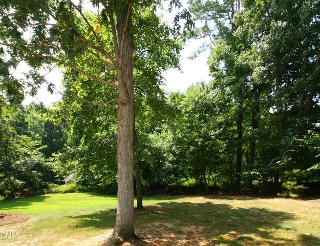a view of a yard with a tree
