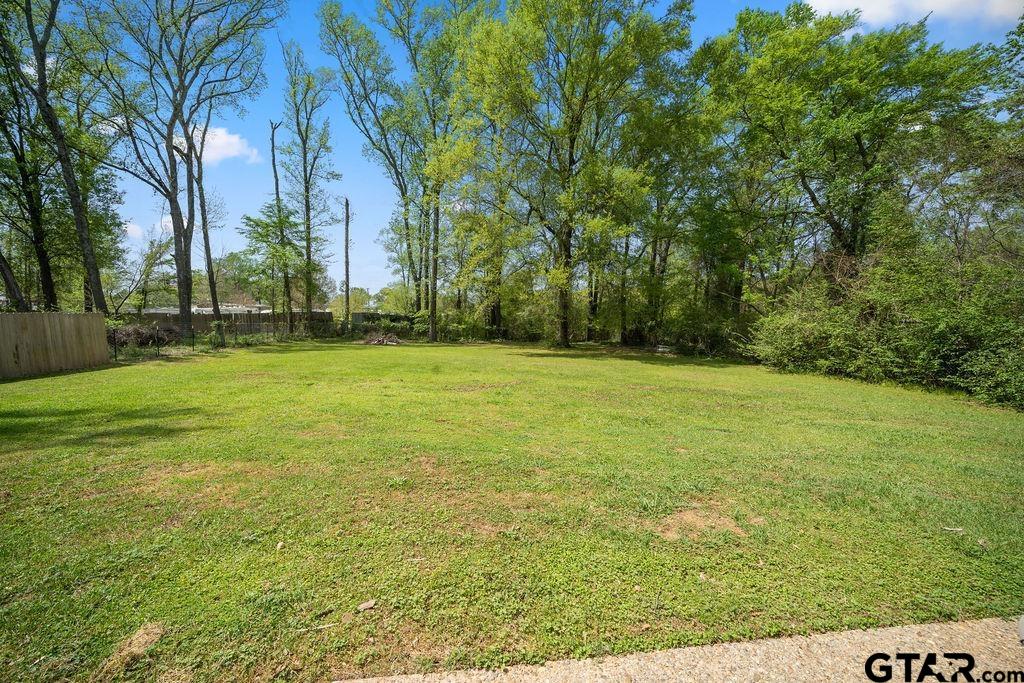 17400 Patrick Street Flint, TX 75762 - Photo 22 of 23