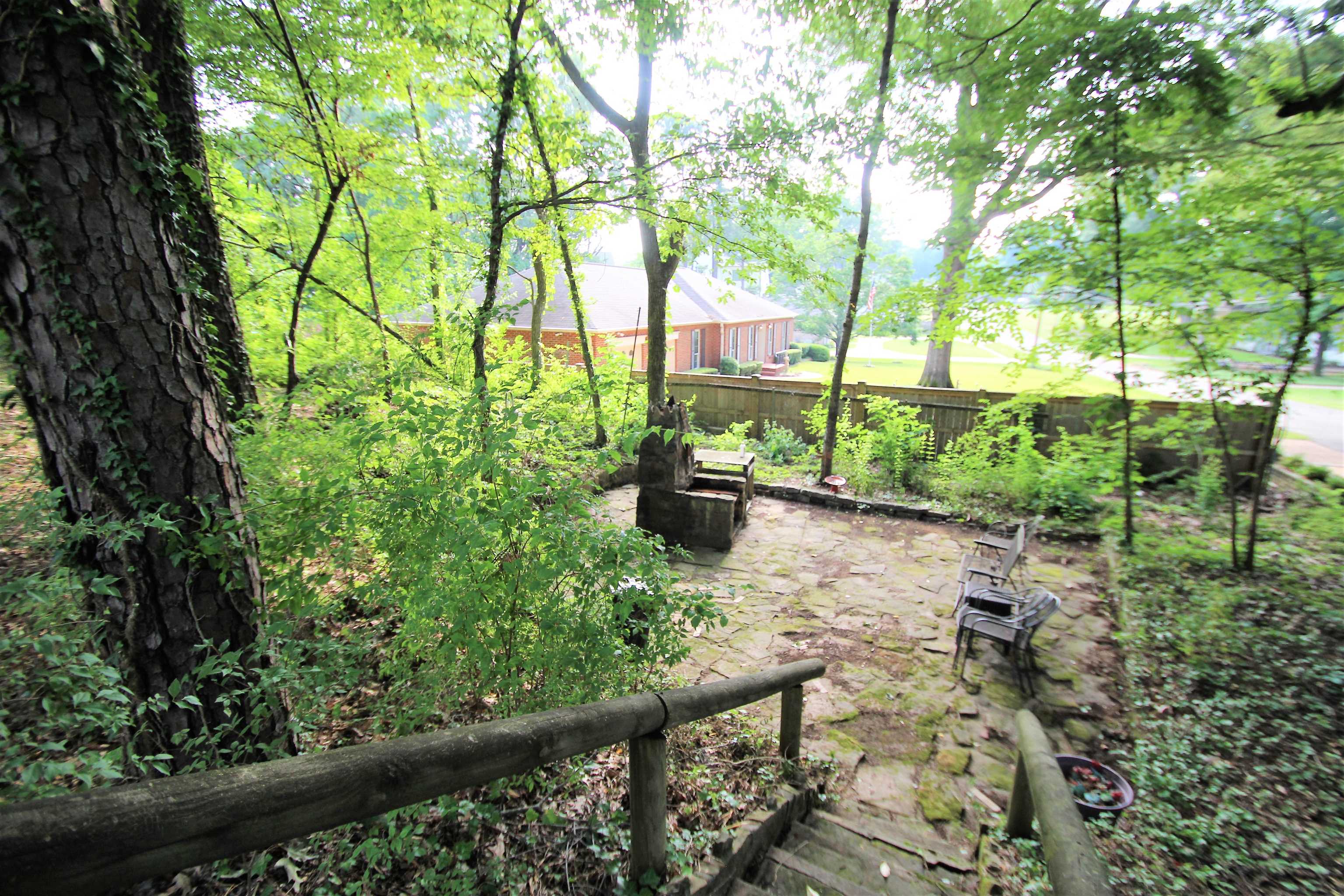 1156 Hayne Road Memphis, TN 38119 - Photo 23 of 25 a view of a yard with plants and large trees