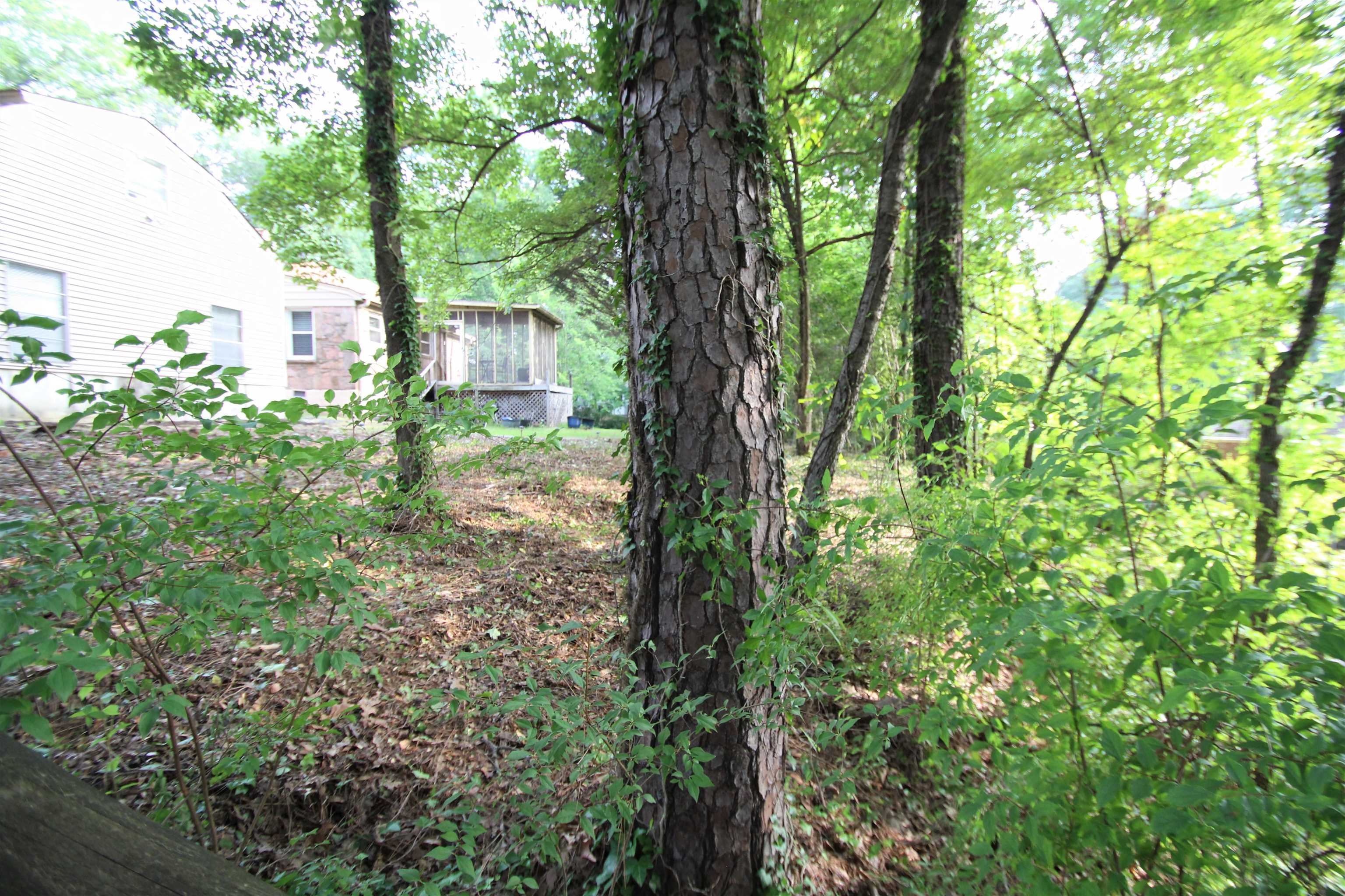 1156 Hayne Road Memphis, TN 38119 - Photo 25 of 25 a view of a house with a tree in the background