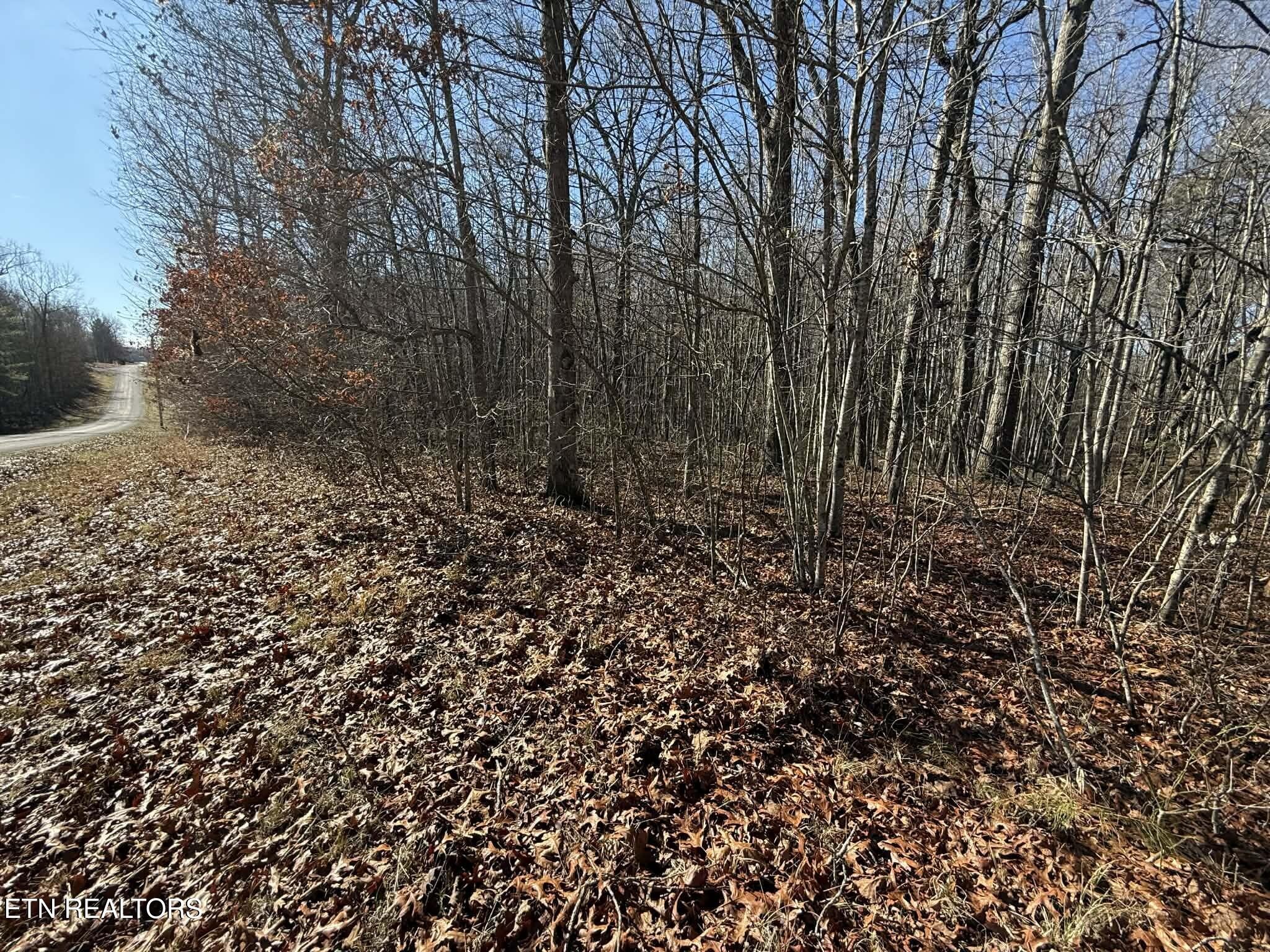 0 Georgee Road Jamestown, TN 38556 - Photo 6 of 13 a view of a large yard with lots of green space