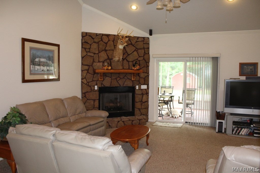 896 Doe Run Road Newton, AL 36352 - Photo 3 of 36 Gallery Image 3