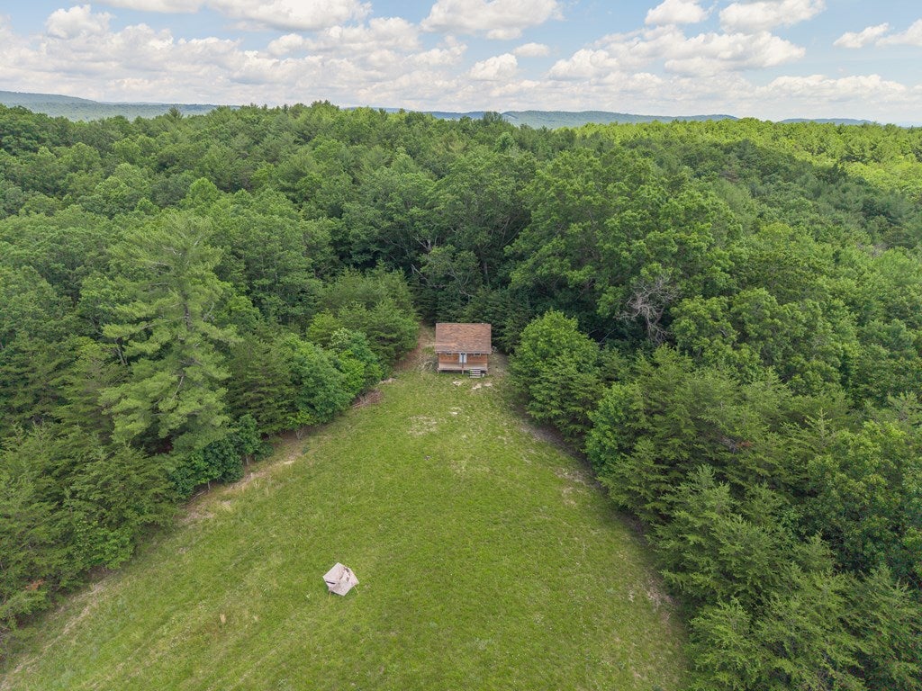 Tbd Locust Hill Road, Unit 1 12 Max Meadows, VA 24360 - Photo 2 of 15 Gallery Image 2