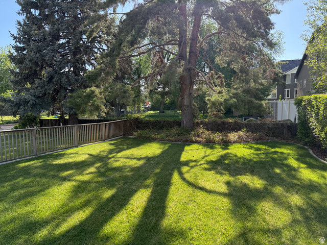 362 East 9150th Street South Sandy, UT 84070 - Photo 21 of 41 Spacious lawn area featuring a wooden fence, mature evergreen trees, and established perimeter hedging