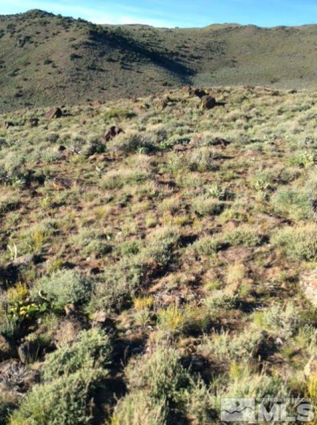 3355 Piute Creek Road Reno, NV 89510 - Photo 1 of 9 a view of a dry field