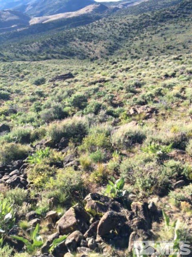 3355 Piute Creek Road Reno, NV 89510 - Photo 2 of 9 a view of mountains
