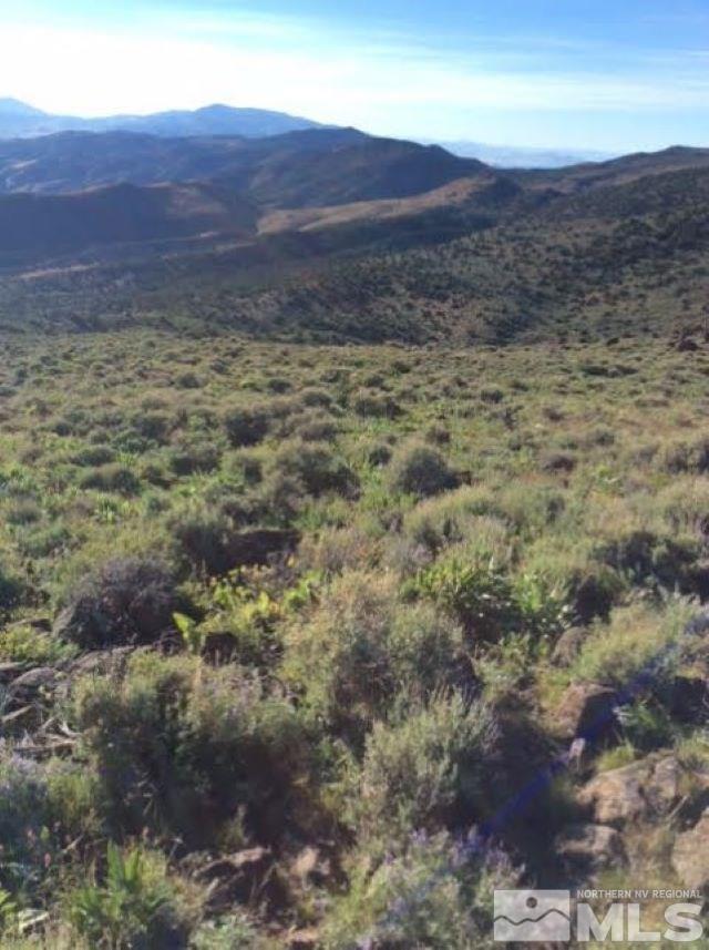 3355 Piute Creek Road Reno, NV 89510 - Photo 3 of 9 a view of a lush green field