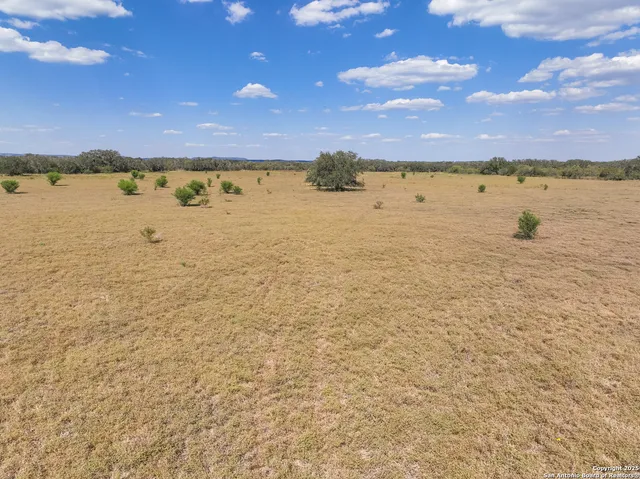 a view of a field with trees in the background