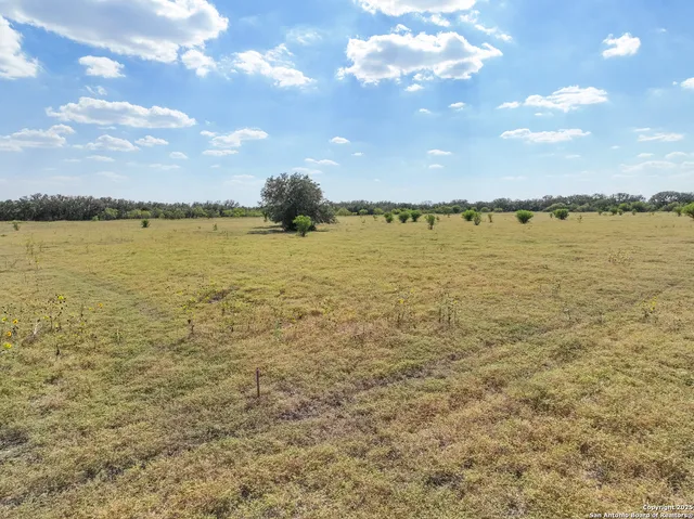a view of a yard with an outdoor space