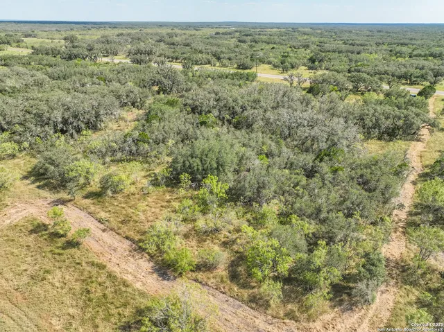 a view of a yard with wooden floor