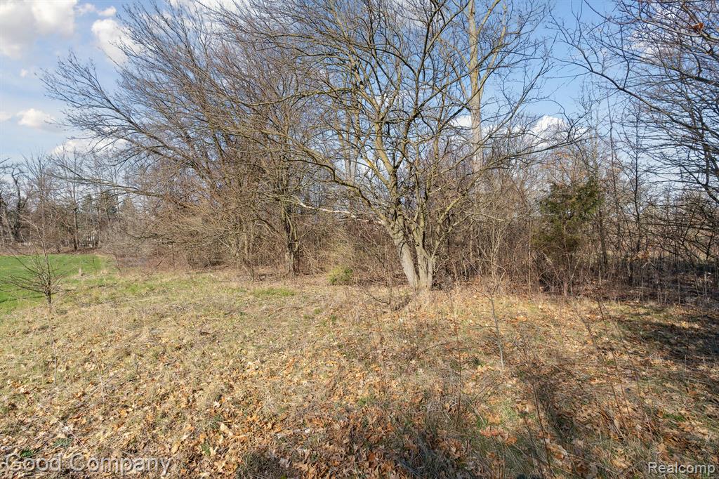 0 Orion Road Lake Orion, MI 48362 - Photo 4 of 13
