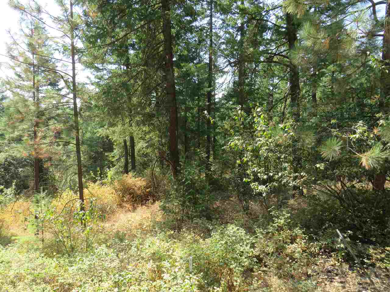 0 South Loon Lake Road Loon Lake, WA 99148 - Photo 1 of 4 Gallery Image 1
