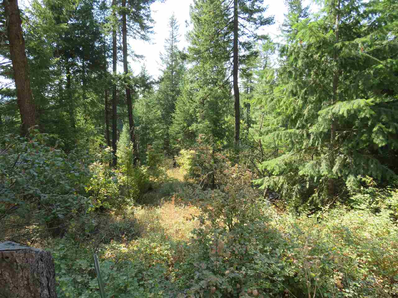 0 South Loon Lake Road Loon Lake, WA 99148 - Photo 3 of 4 Gallery Image 3