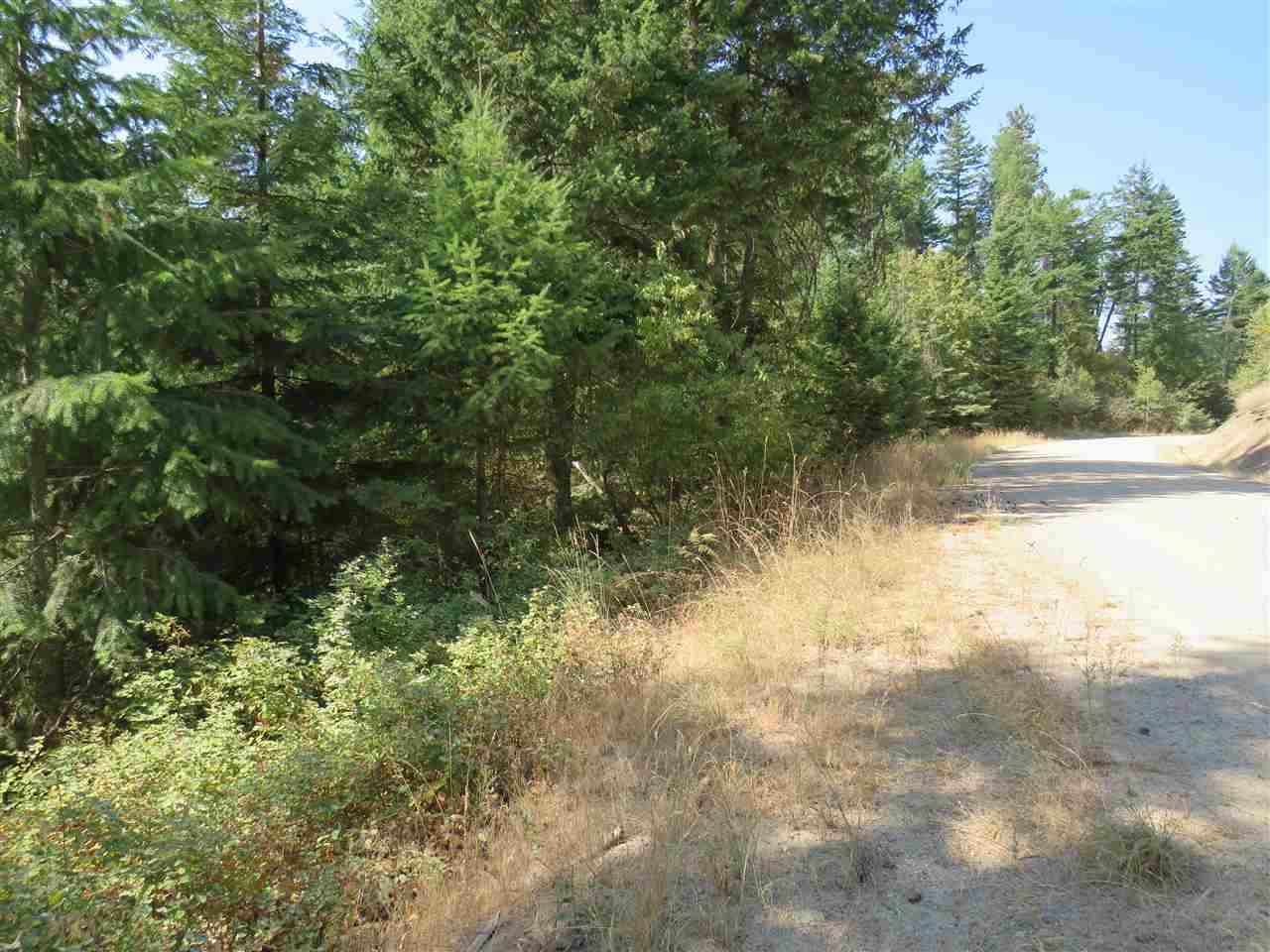 0 South Loon Lake Road Loon Lake, WA 99148 - Photo 4 of 4 Gallery Image 4