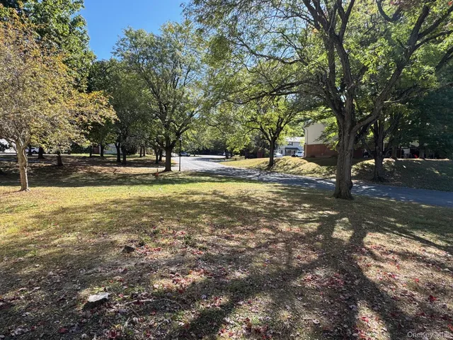 a view of a big yard with plants and large trees