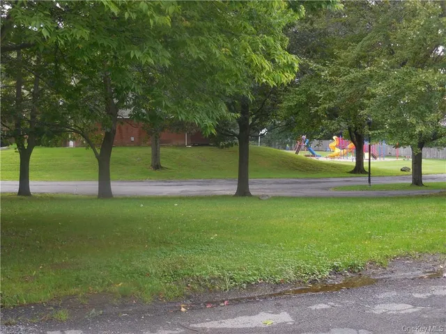 a view of field with tall trees
