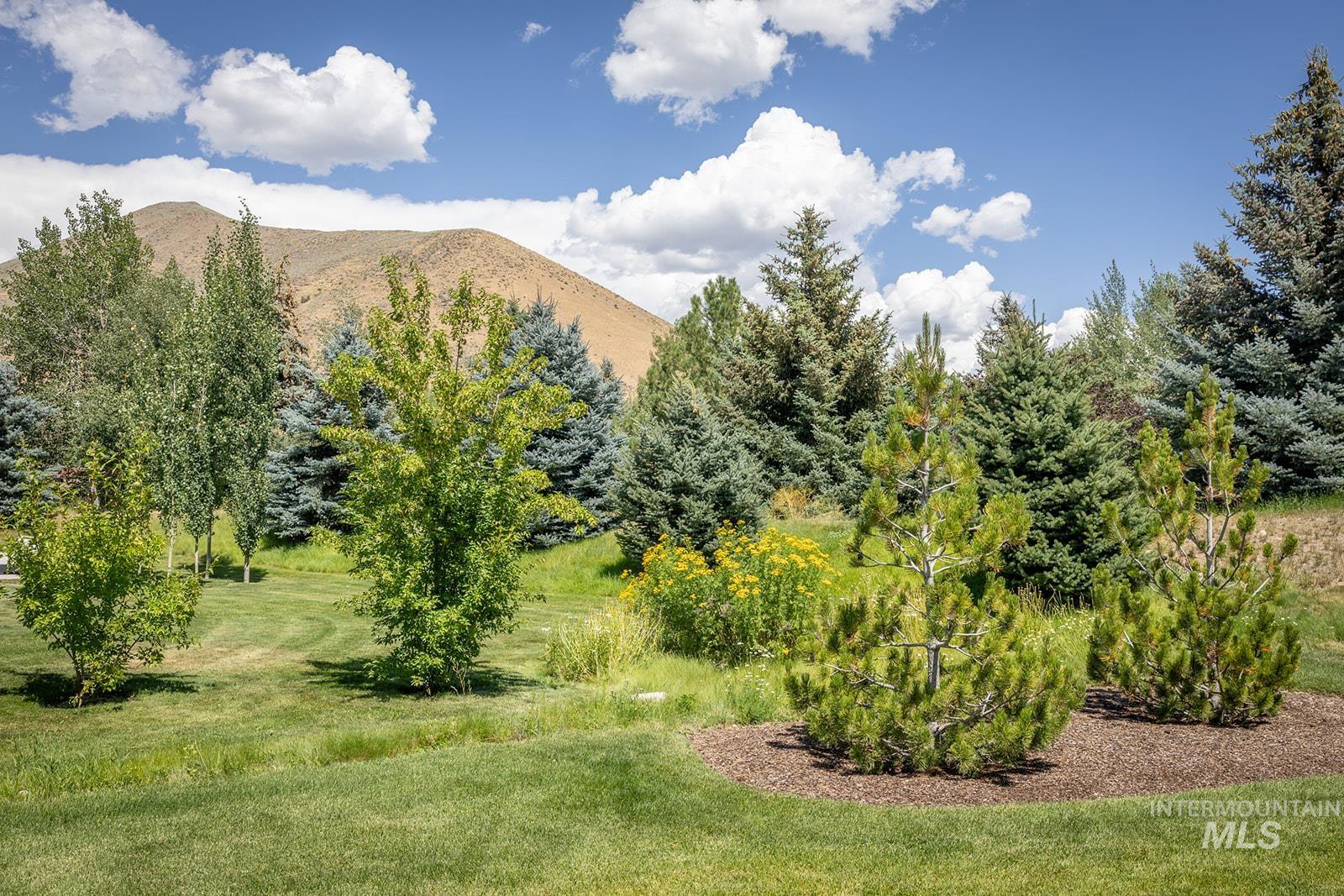27 Streamside Drive Hailey, ID 83333 - Photo 35 of 39 Mountain view