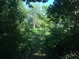 $111,000 | T 27 North R 13w, Watseka, IL 60970