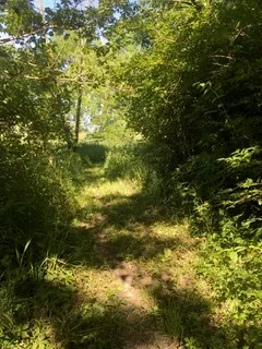 $111,000 | T 27 North R 13w, Watseka, IL 60970