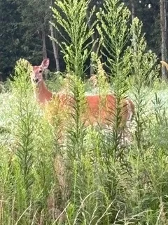 $111,000 | T 27 North R 13w, Watseka, IL 60970