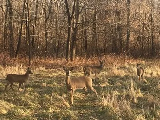 $111,000 | T 27 North R 13w, Watseka, IL 60970