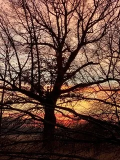 $111,000 | T 27 North R 13w, Watseka, IL 60970