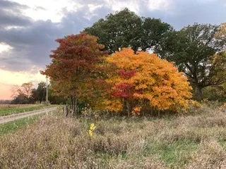 $111,000 | T 27 North R 13w, Watseka, IL 60970