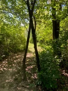 $111,000 | T 27 North R 13w, Watseka, IL 60970