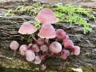 $111,000 | T 27 North R 13w, Watseka, IL 60970