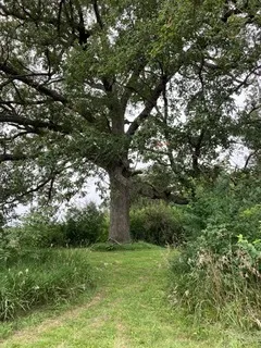 $111,000 | T 27 North R 13w, Watseka, IL 60970