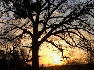 $111,000 | T 27 North R 13w, Watseka, IL 60970